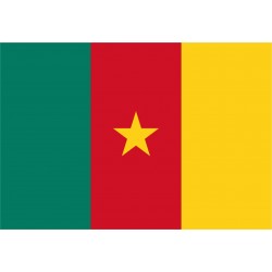 Bandiera Camerun