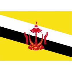Bandiera Brunei
