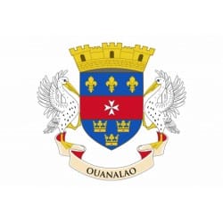 Bandiera Saint-Barthélemy