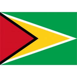 Bandiera Guyana