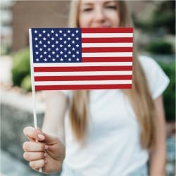 Bandierine da mano in Polipropilene 2