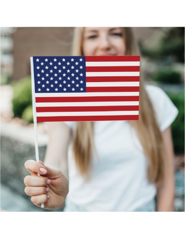 Bandierine da mano in Polipropilene