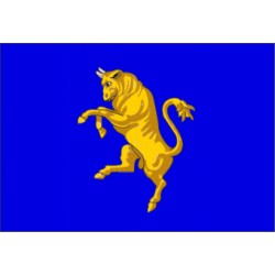 Bandiera Comune di Torino