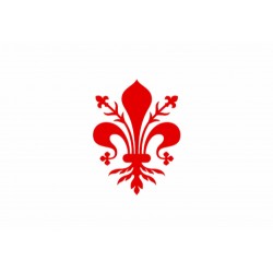 Bandiera Comune di Firenze