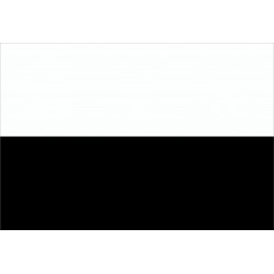 Bandiera Comune di Siena