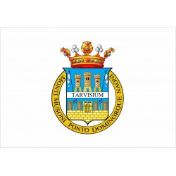 Bandiera Provincia di Treviso