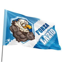 Bandiera Forza Lazio